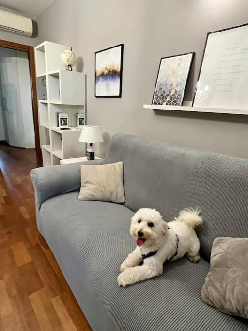 메라테 Casa Di Lillo 아파트 외부 사진